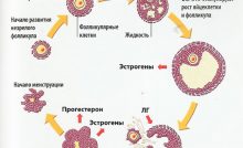 ✳️ Удаление кожного капюшона клитора в медицинском центре «RISHON» ✳️